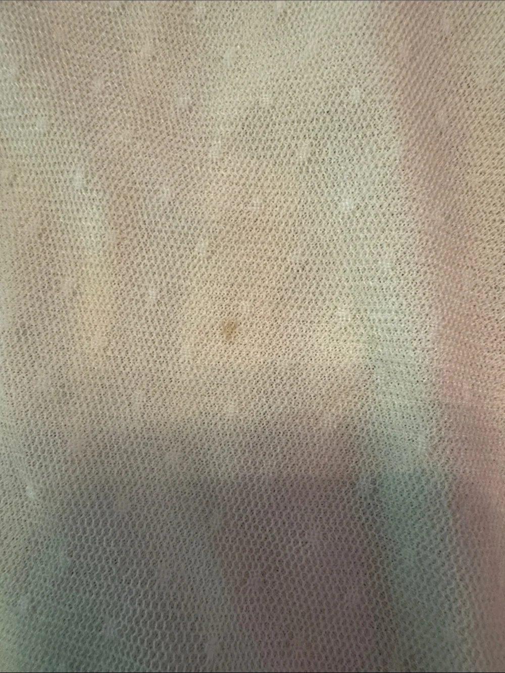 Coolwear Cream Lace-Trim Sheer Camisole Top - Picture 5 of 6